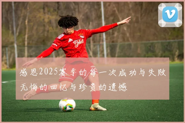 感恩2025赛季的每一次成功与失败无悔的回忆与珍贵的遗憾