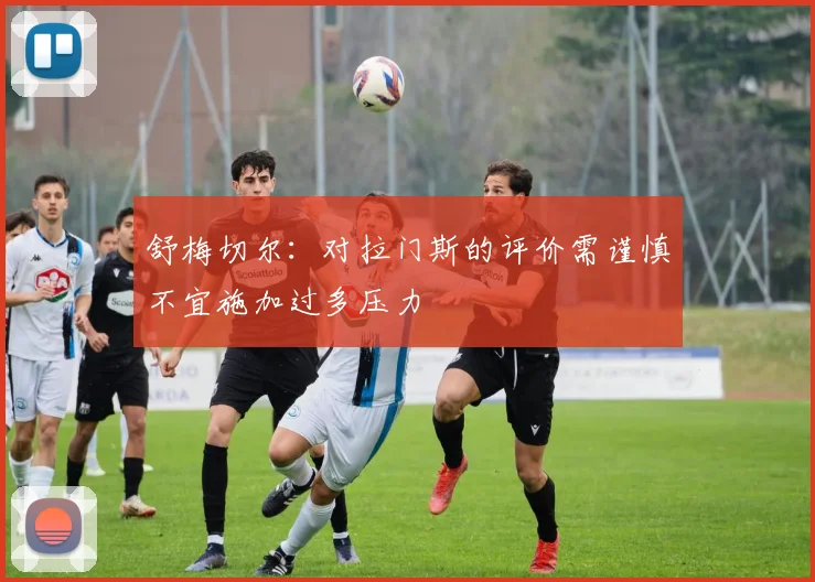 舒梅切尔：对拉门斯的评价需谨慎不宜施加过多压力